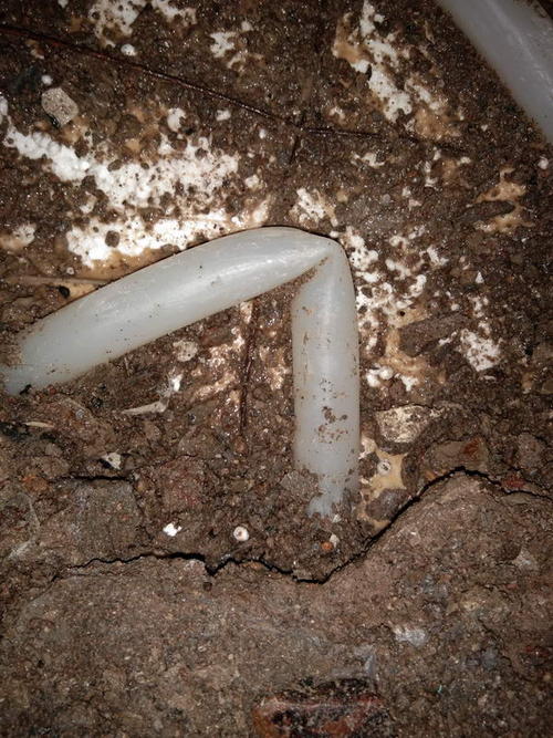 金阳堵点精准查找